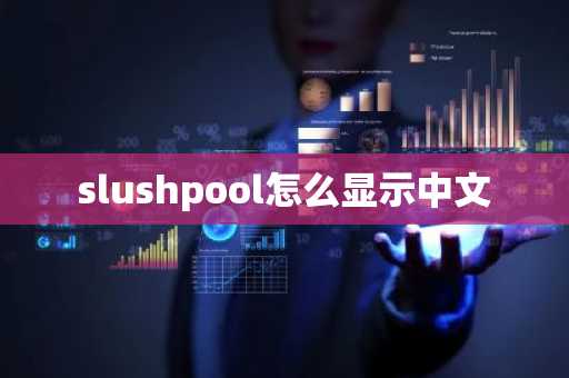 slushpool怎么显示中文