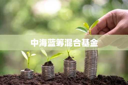 中海蓝筹混合基金