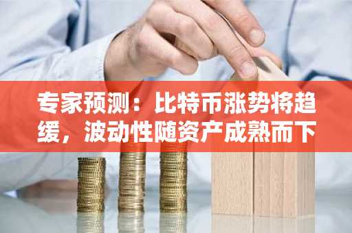 专家预测：比特币涨势将趋缓，波动性随资产成熟而下降