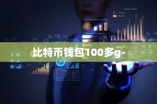 比特币钱包100多g-