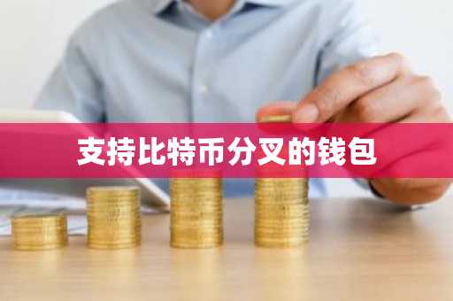 支持比特币分叉的钱包