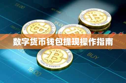数字货币钱包提现操作指南