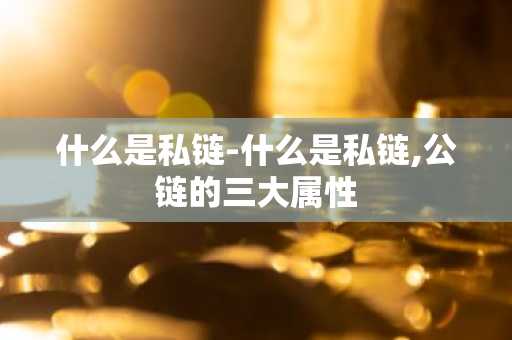 什么是私链-什么是私链,公链的三大属性