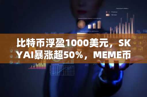 比特币浮盈1000美元，SKYAI暴涨超50%，MEME币市场再掀热潮