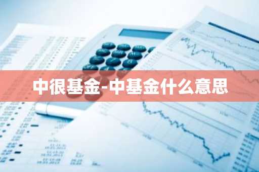 中很基金-中基金什么意思