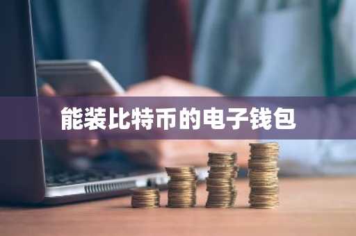 能装比特币的电子钱包