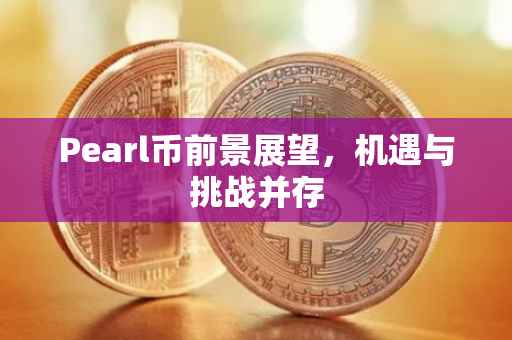 Pearl币前景展望，机遇与挑战并存