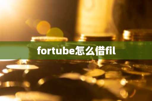 fortube怎么借fil