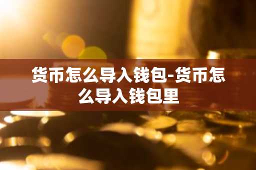 货币怎么导入钱包-货币怎么导入钱包里
