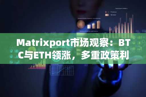 Matrixport市场观察：BTC与ETH领涨，多重政策利好助推数字资产市场升温