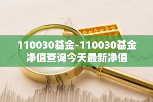 110030基金-110030基金净值查询今天最新净值