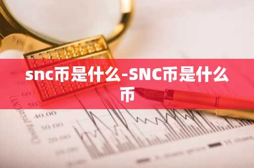 snc币是什么-SNC币是什么币