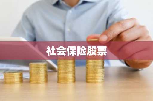 社会保险股票