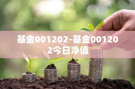 基金001202-基金001202今日净值