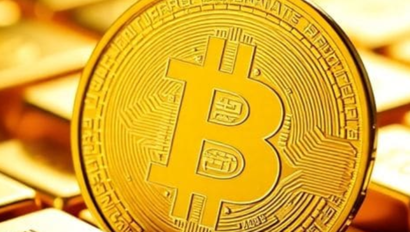 山寨币价格波动原因分析_资金流动与消息面的影响