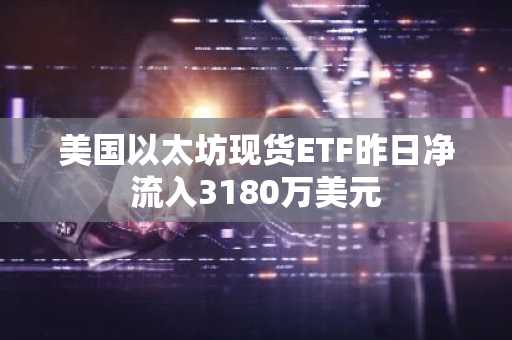 美国以太坊现货ETF昨日净流入3180万美元