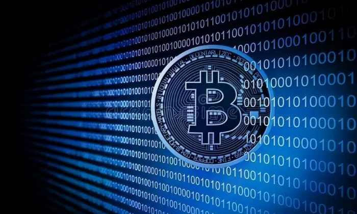 如何判断一个山寨币是否是骗局（Scam）？