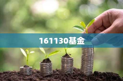 161130基金
