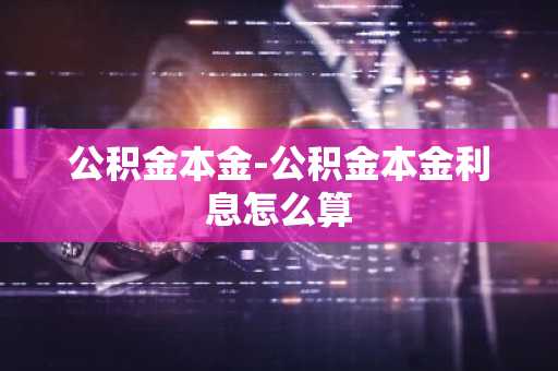 公积金本金-公积金本金利息怎么算