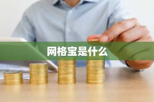 网格宝是什么