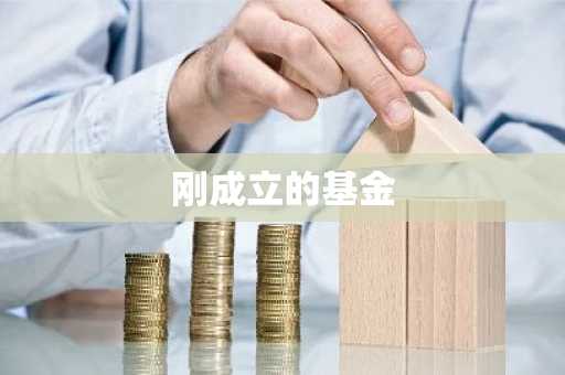 刚成立的基金