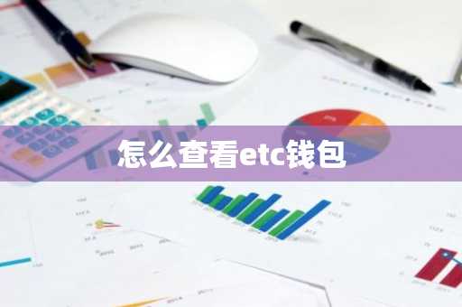 怎么查看etc钱包