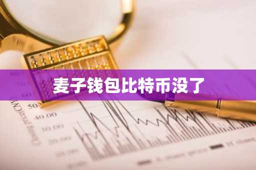 麦子钱包比特币没了