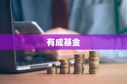 有成基金