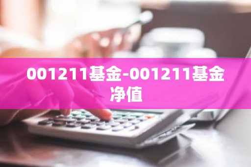 001211基金-001211基金净值