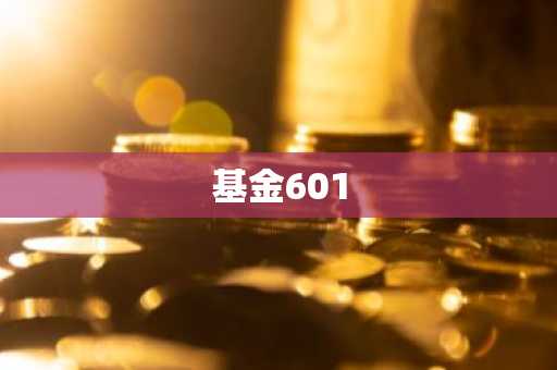 基金601
