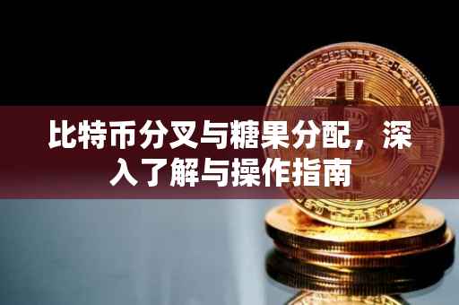 比特币分叉与糖果分配，深入了解与操作指南