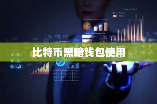 比特币黑暗钱包使用