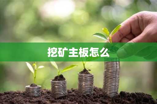 挖矿主板怎么