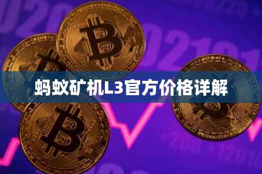 蚂蚁矿机L3官方价格详解