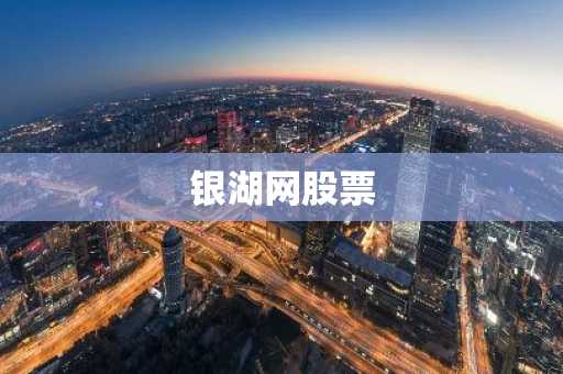 银湖网股票