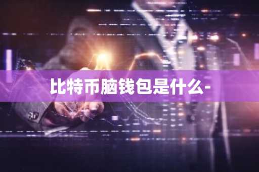 比特币脑钱包是什么-
