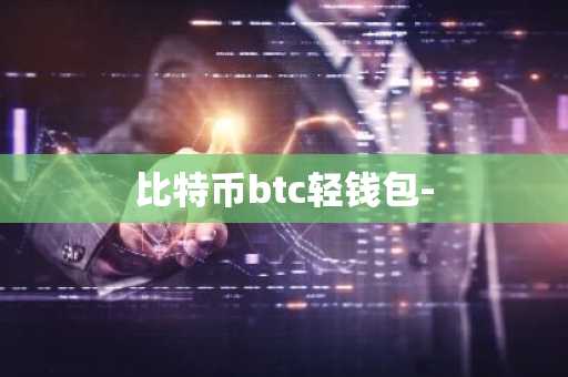 比特币btc轻钱包-
