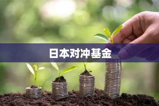 日本对冲基金