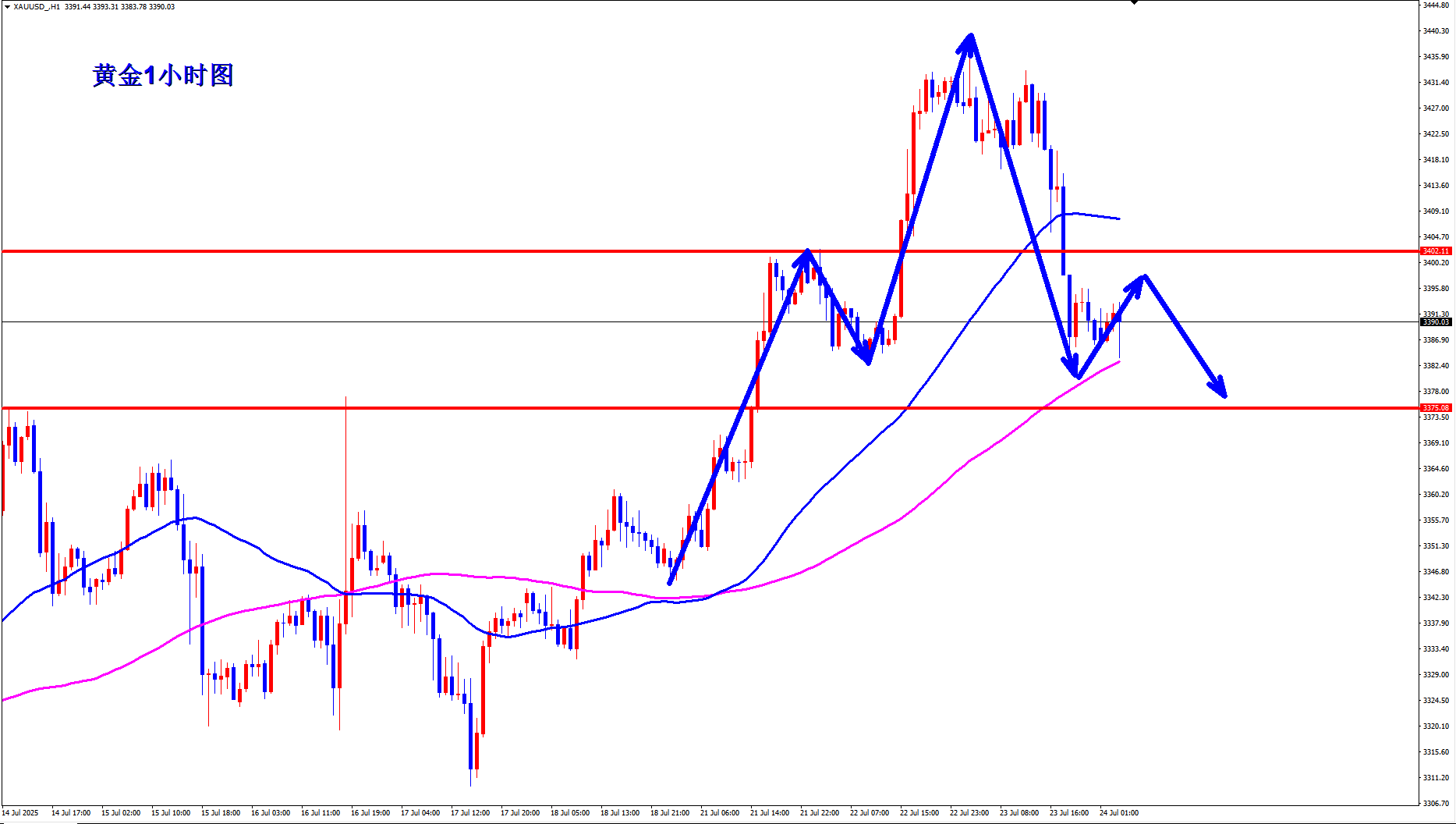 王杨：黄金日线乌云盖顶，早盘3390直接空！
