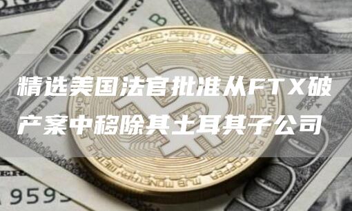 精选美国法官批准从FT破产案中移除其土耳其子公司