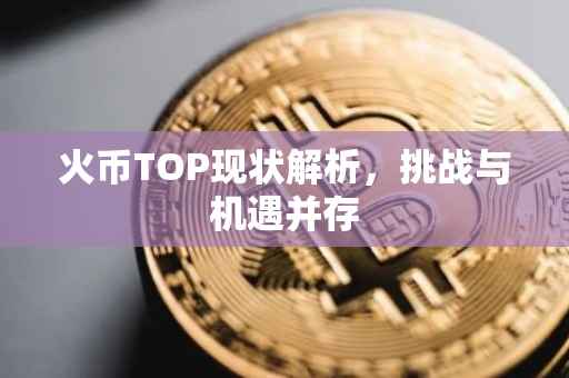 火币TOP现状解析，挑战与机遇并存
