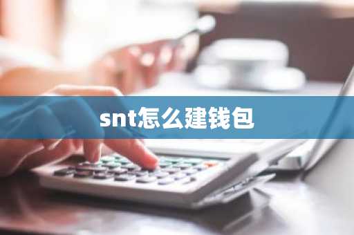 snt怎么建钱包