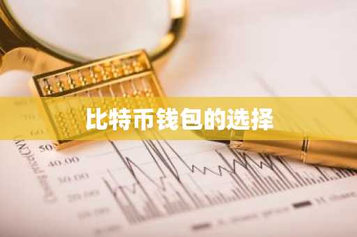 比特币钱包的选择