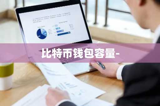 比特币钱包容量-