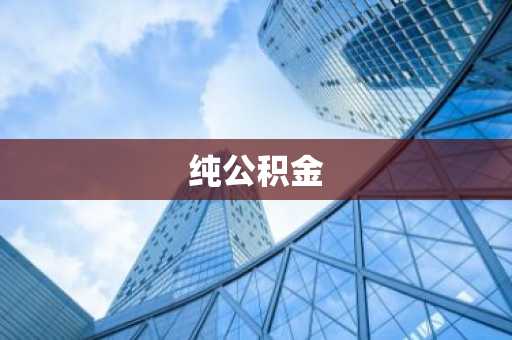 纯公积金