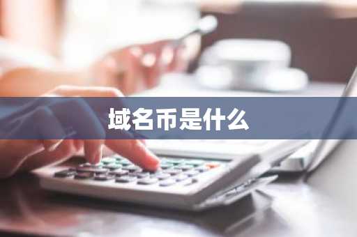 域名币是什么