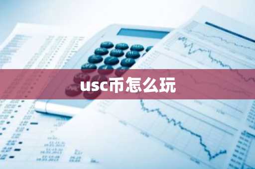 usc币怎么玩