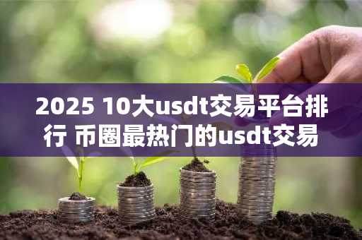 2025 10大usdt交易平台排行 币圈最热门的usdt交易平台