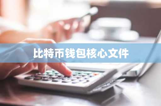 比特币钱包核心文件
