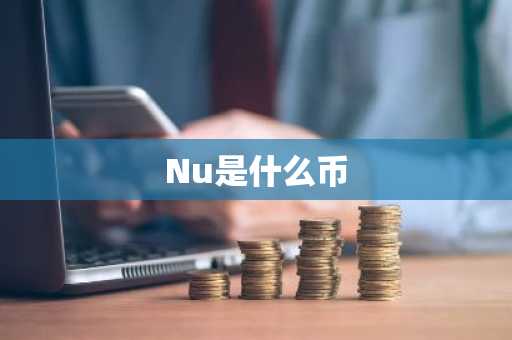 Nu是什么币
